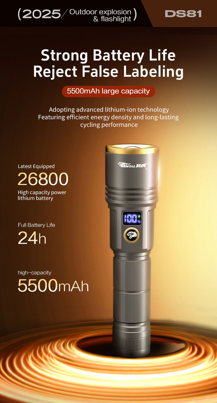 DS81 详情（英文) _05