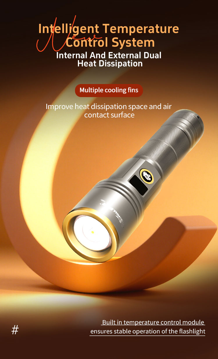 DS81 详情（英文） _08