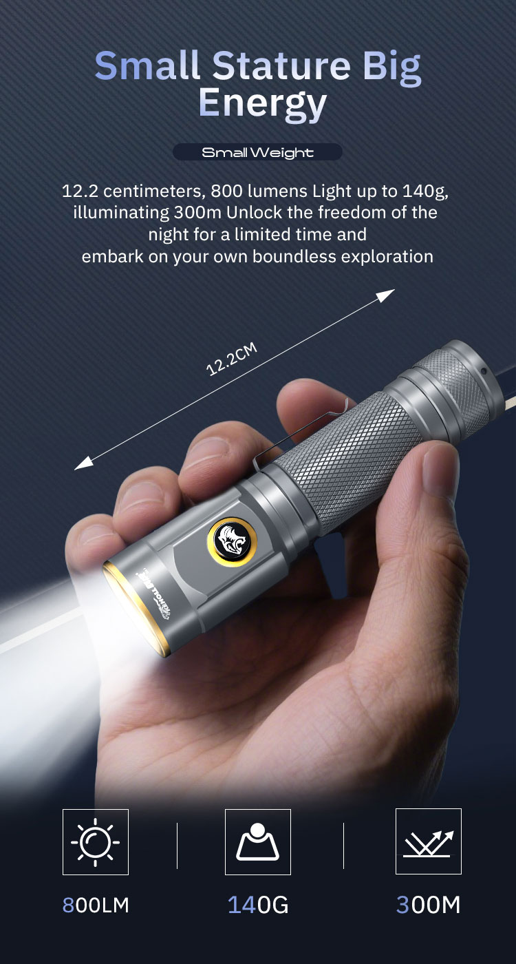 DS50 详情 (英文) _03