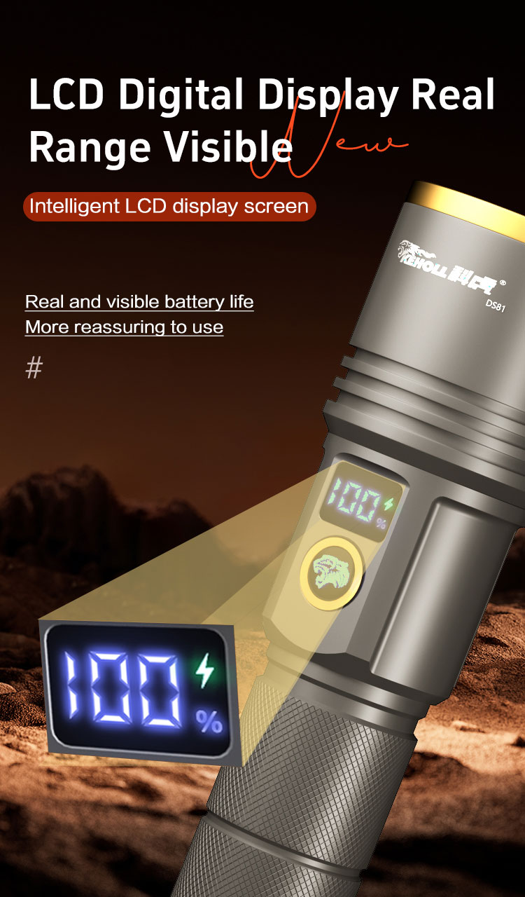 DS81 详情（英文） _06