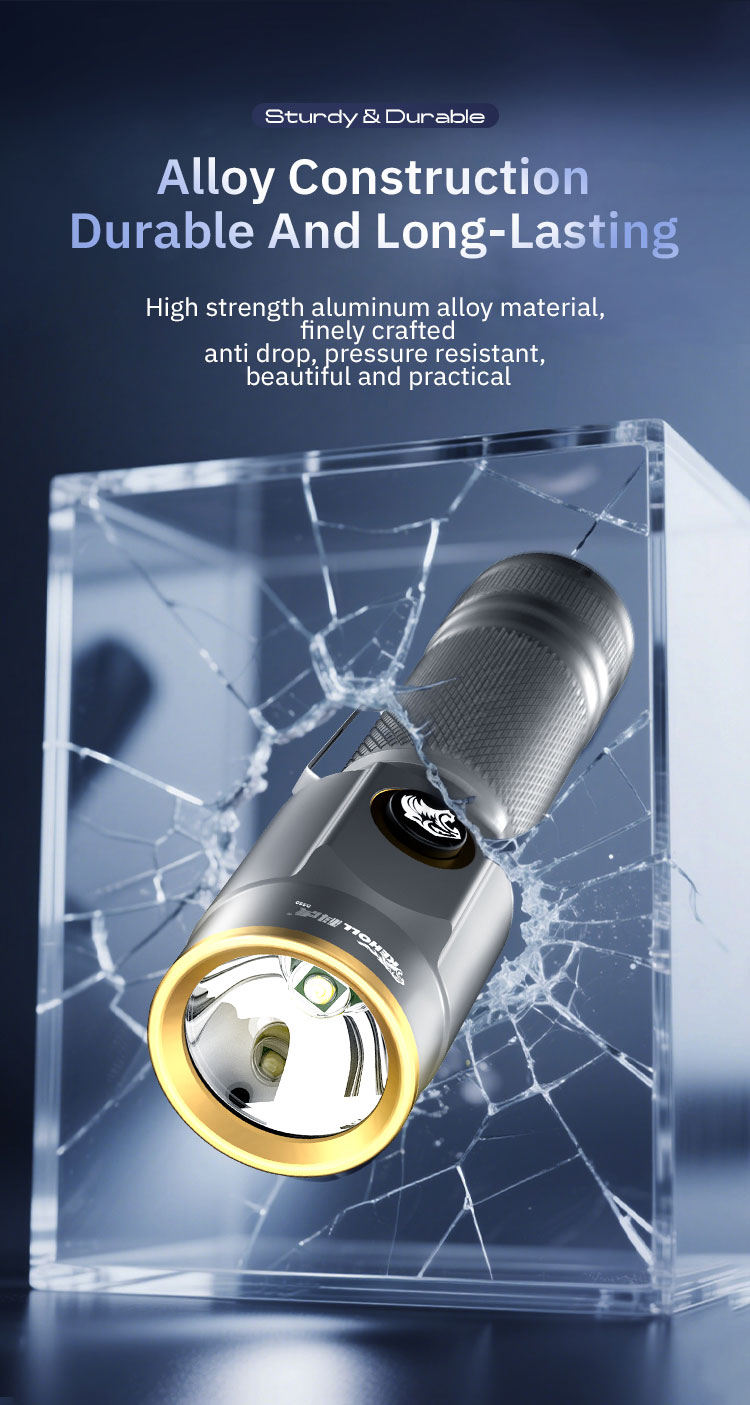 DS50 详情 (英文) _06