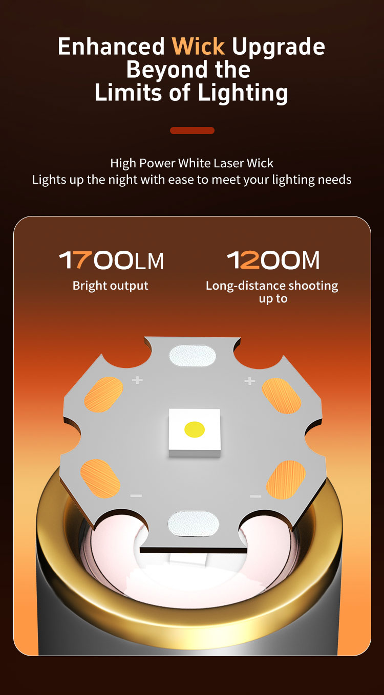 DS81 详情（英文） _02
