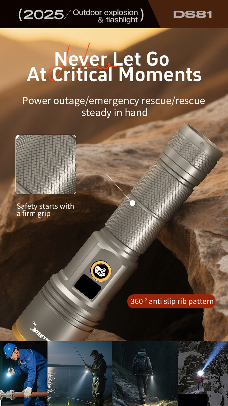 DS81 详情（英文） _10