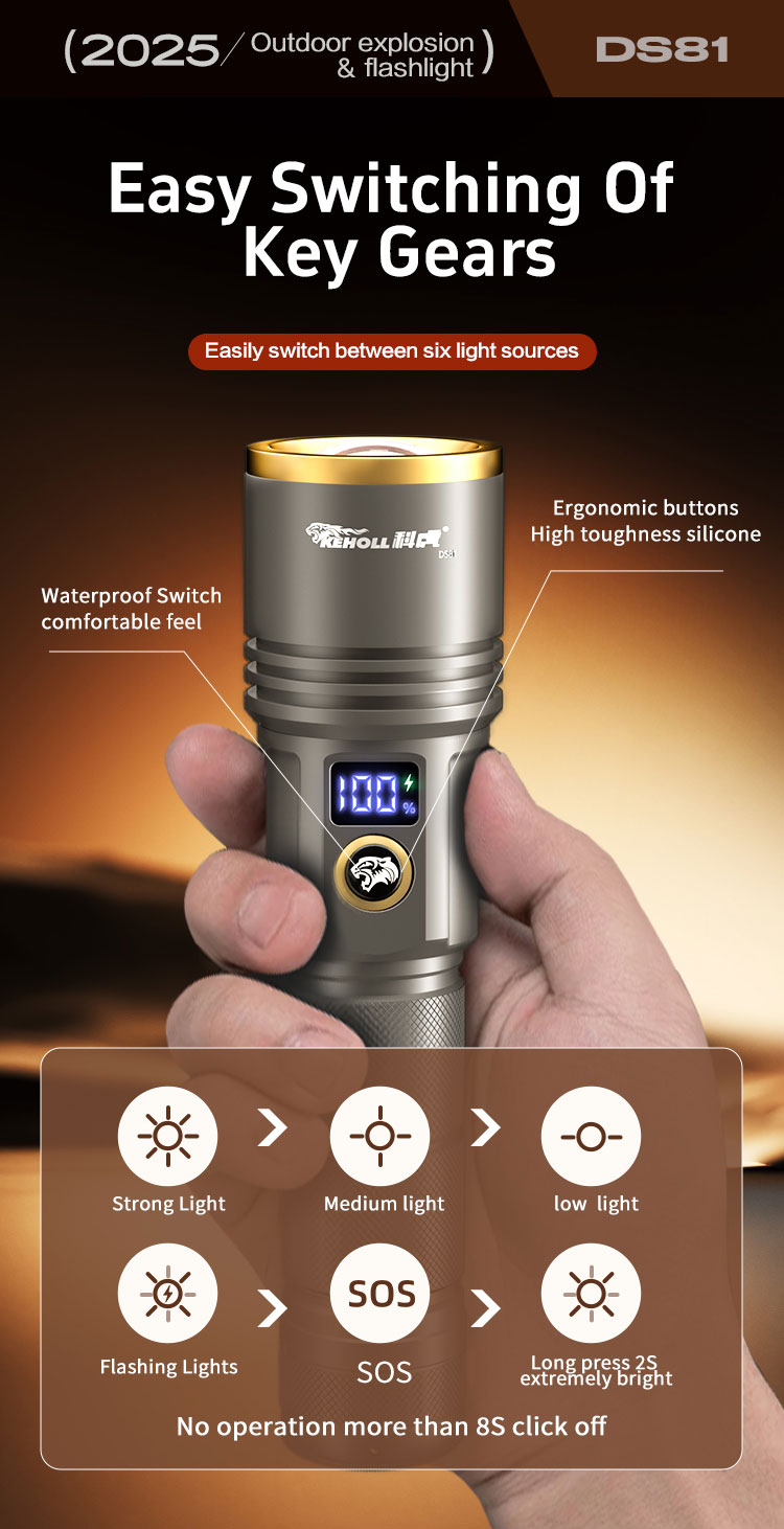 DS81 详情（英文) _07